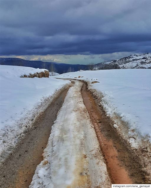 Why follow someone else's tracks when u can make your own ???....... (Mount Lebanon Governorate)
