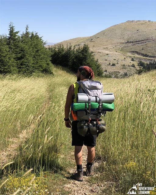 Why have a hiking stick:-It's a support for your legs and knees (obviously (Lebanon)