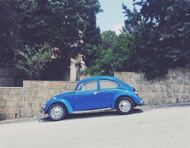 Why you stand there feeling blue? livelovebeirut  proudlylebanese ... (Chânâï, Mont-Liban, Lebanon)