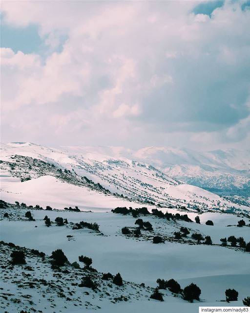 Wild Akkar ❄..... backcountryskiing skitouring lebanon  polyliban ... (Akkar)