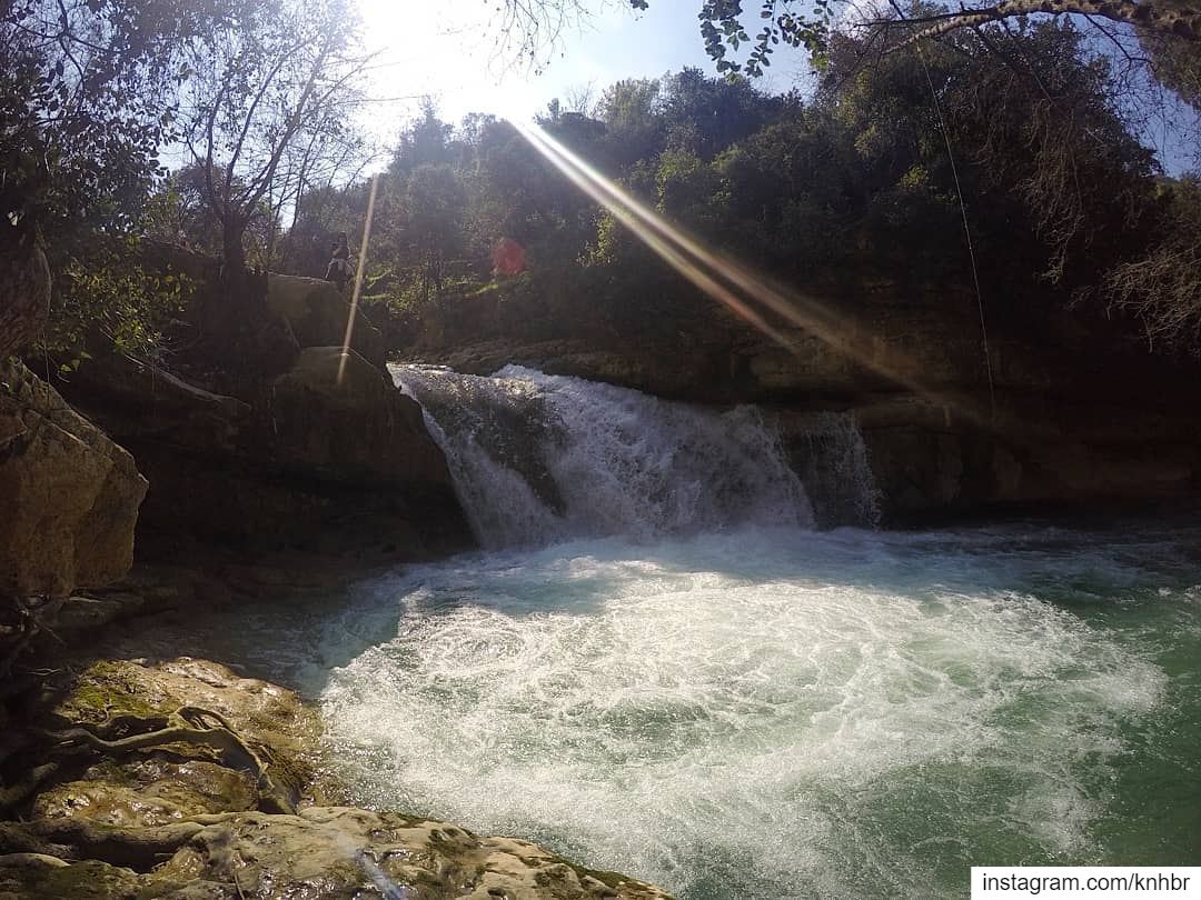  wild beautiful and free  livelovelebanon  waterfallchasing ...