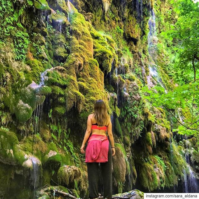 Wild & Free 🍀 (Kadisha Valley)