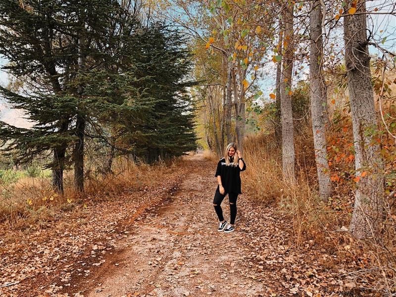 Wild magic 🍂🧡 YaraLivingLife ... fall  hellofall  autumn ... (El Laklouk, Mont-Liban, Lebanon)