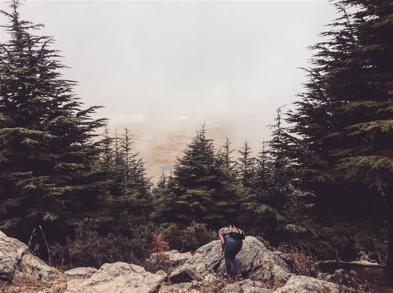 Wild... myescape  serenity  wearelebanon  livelovelebanon  lebanontimes ...