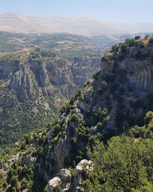 Wilderness ⛰... valley  mountain  peak  bcharre  hasroun  nature ... (Hasroun)