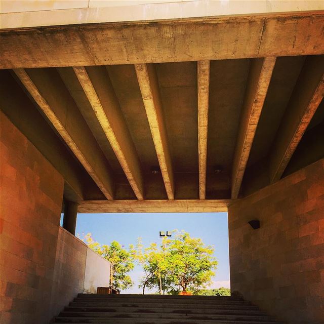  window  frame  photo  architecture  archilovers  architecturelovers ... (University of Balamand)