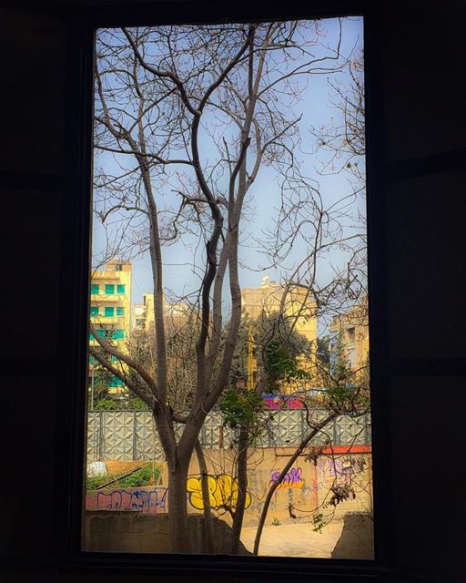 Window on a  backyard and  graffiti  tag  cityview  tree_captures ... (Mar Mikhael, Beirut)