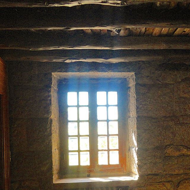 windows light wood