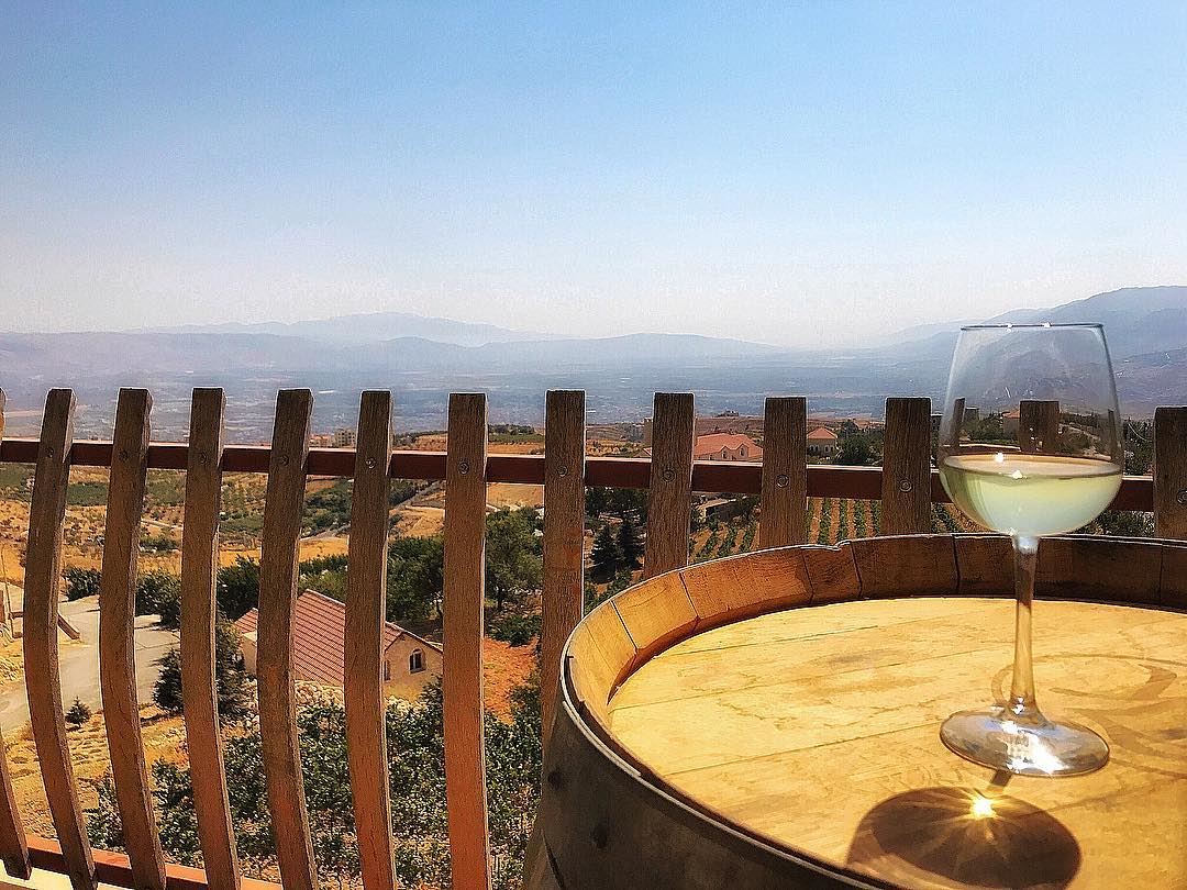 Wine is sunlight, held together by water🍷☀️ ... wine  winelovers ... (Chateau Khoury)