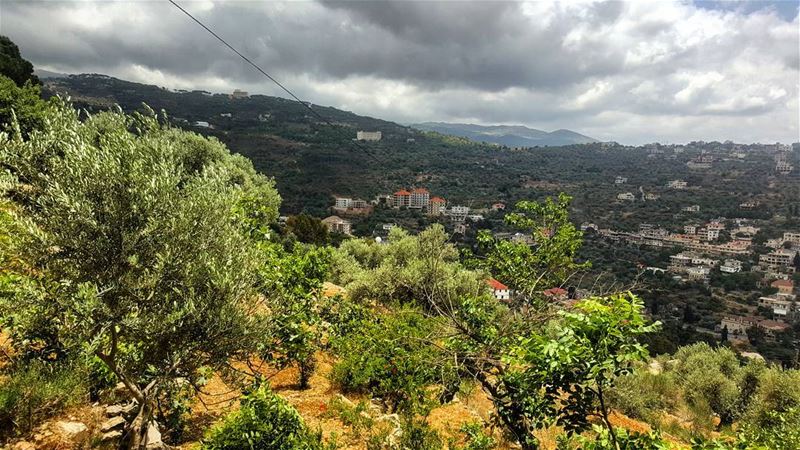  winter  again  beautiful  amazing  weather  clouds   mountains  green ... (Hasbaya)