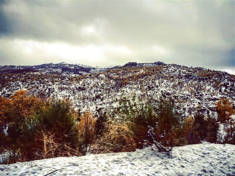 Winter Break  seasons  lebanese  winter  landscape  lebanon ... (Faraya, Mont-Liban, Lebanon)