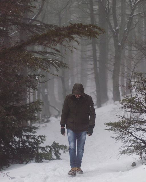  Winter feels....... hike  outdoors  canon  canon_photos  80d ... (Cedar Reserve Tannourine)