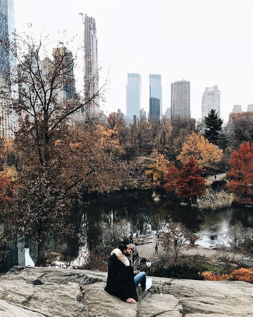 Winter is almost here ❄️🏙  NYC  NewYorkCity  NewYork  midtown  fall ... (Central Park)