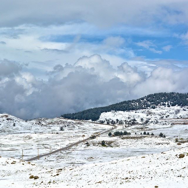 Winter is back !L O C A T I O N : Dahr-El-Baidar, LebanonD A T E : 12 th...