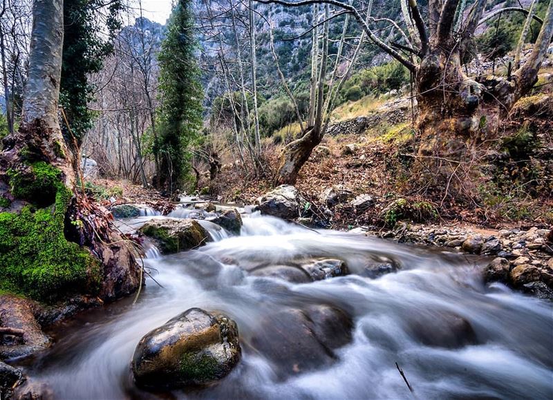 Winter is Coming  river  flow  cloudy  mountains  snow  tree  winter ... (Tannurin At Tahta, Liban-Nord, Lebanon)