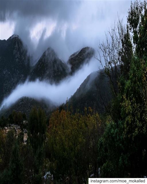 Winter is not a season, it's an occupation "Sinclair Lewis"Foggy Time-Laps (El-Lweizah, Al Janub, Lebanon)