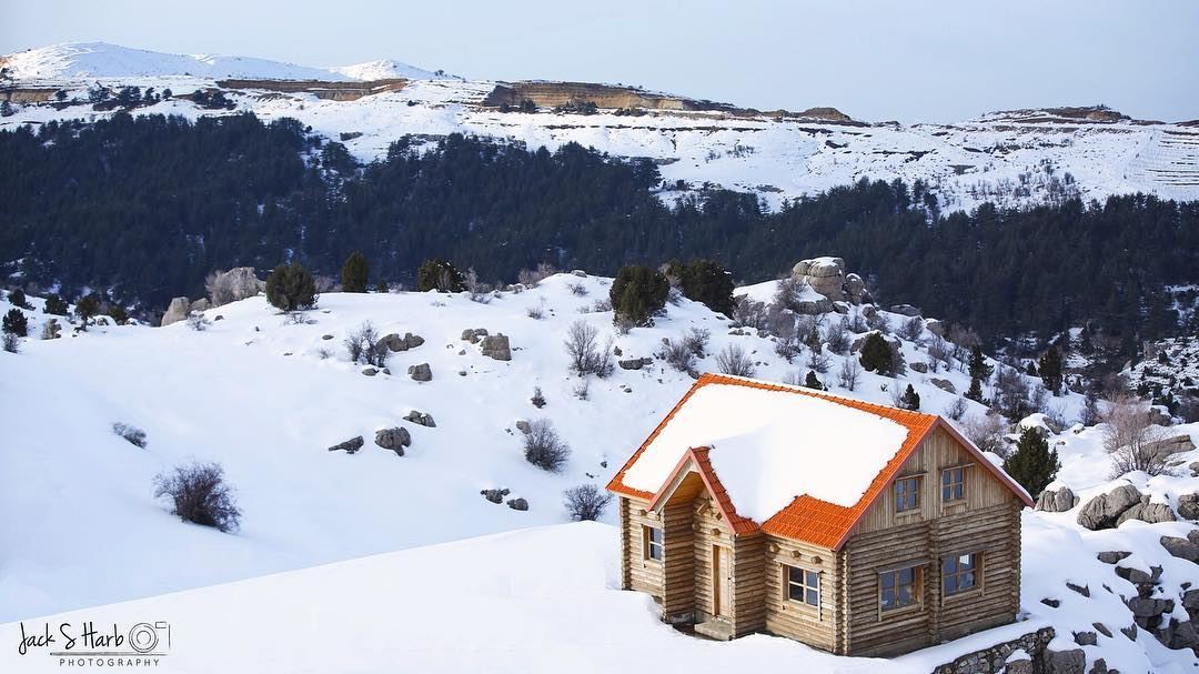  Winter is the time for  comfort ,for good  food and  warmth ,for a touch... (Tannourine Cedars Nature Reserve)