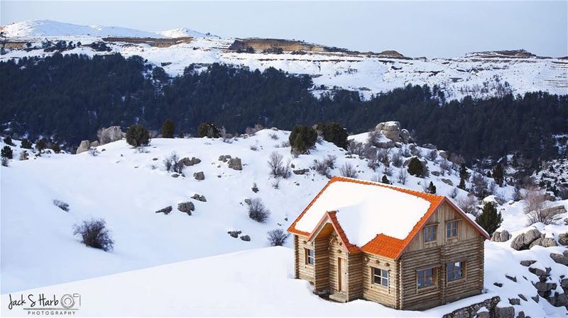  Winter is the time for  comfort ,for good  food and  warmth ,for a touch... (Tannourine Cedars Nature Reserve)