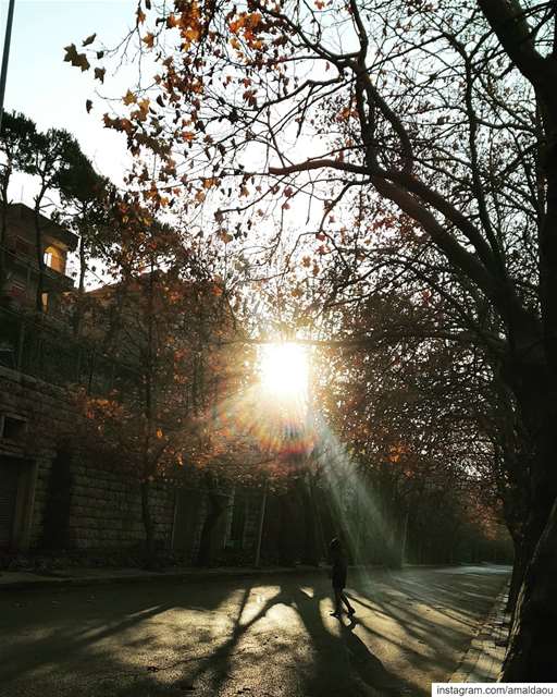  winter  places  photography ...
