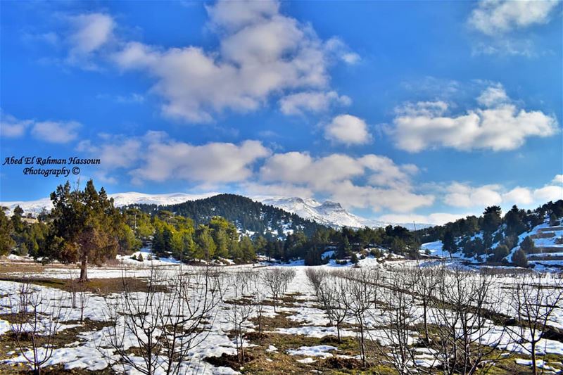 ❄💙❄  Winter  Qammouaa  القموعة  Akkar  عكار  لبنان   Lebanon  Lebanese  ... (El Qammoûaa)