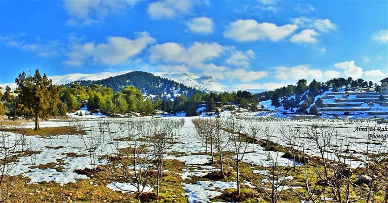 ❄💙❄  Winter  Qammouaa  القموعة  Akkar  عكار  لبنان   Lebanon  Lebanese  ... (El Qammoûaa)