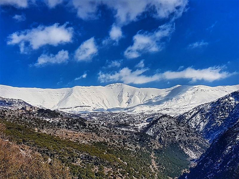 Winter's best moments  winter  season  february  sannine  snow  mountain ... (Mount Sannine)