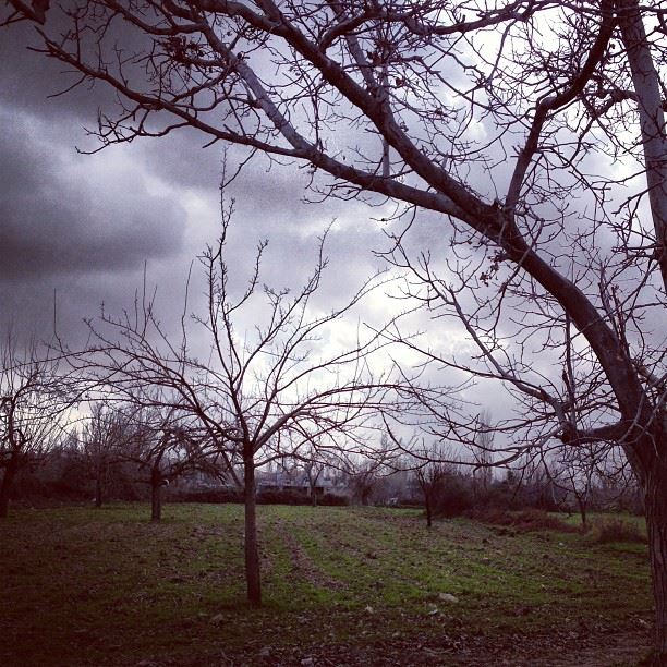 📷 Winter Sky - Baalbeck, Lebanon ☁ lebanon  baalbeck  baalback  winter ...