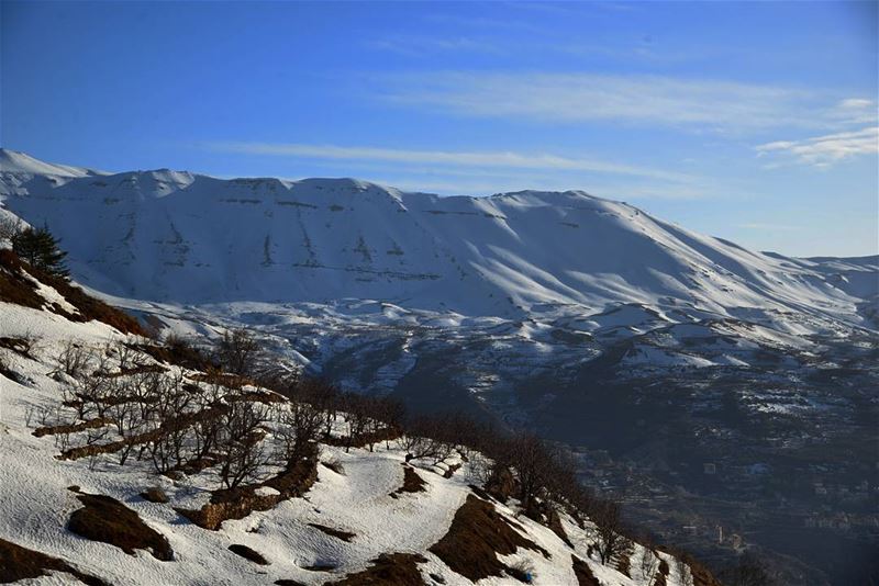 Winter slowly fading away ❄☀ (Bcharreh, Liban-Nord, Lebanon)