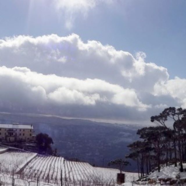  winter  snow  lebanon  lebanese  view  sky  sun  colors  blue  white ...