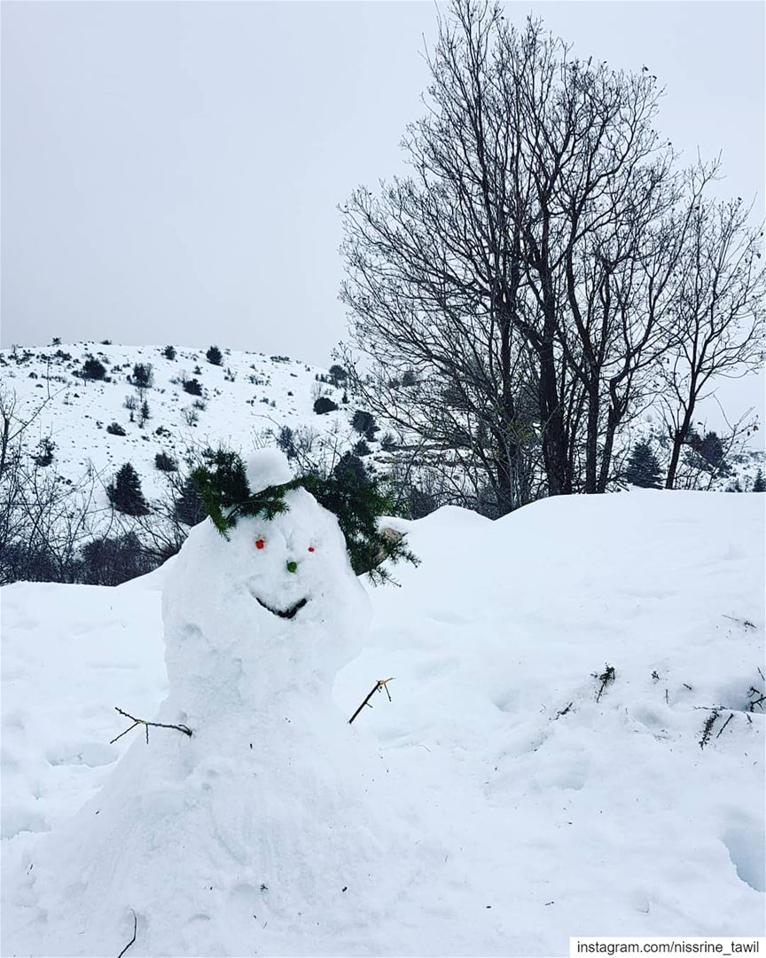  winter  snow  lebanon  snowman  ainzhalta  cedars ... (Aïn Zhalta, Mont-Liban, Lebanon)