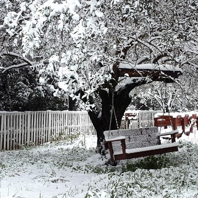  winter  snow  season  lebanon  my garden  brumana  @livelovelebanon ...