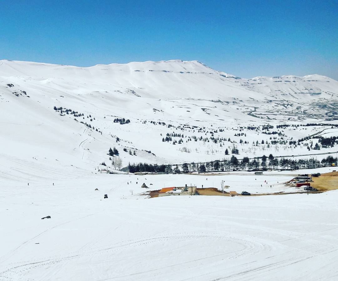 Winter vibes during spring ❄❄❄  AlArz  Cedars  Bsharri  Lebanon  Lebanese ... (Téléskis des Cèdres - Cedars Ski Resort - Arz)