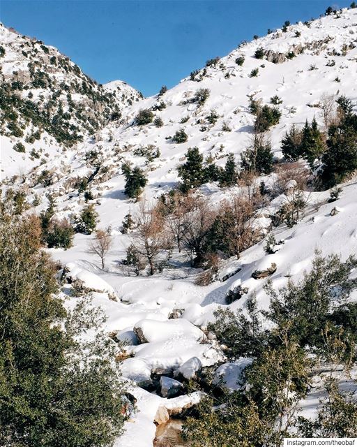 Winter vibes ❄ 🇱🇧.... laklouk  livelovebeirut  livelovelaklouk ... (El Laklouk, Mont-Liban, Lebanon)