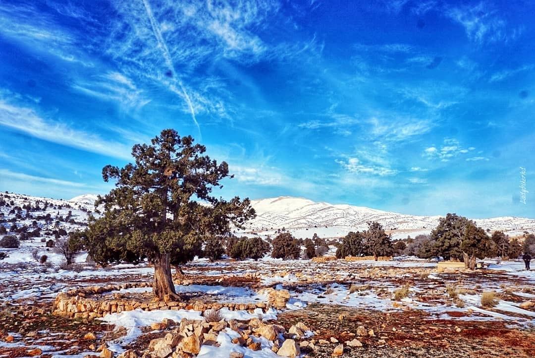 Winter vibes❄Photo credits to @ladybikerhd winter  wintervibes❄️ ... (El Hermel, Béqaa, Lebanon)