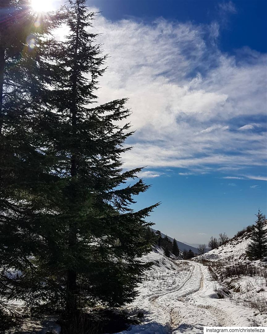 Winter wonderland 💙❄🌲....... dametraveler  femmetravel ... (Aïn Zhalta, Mont-Liban, Lebanon)