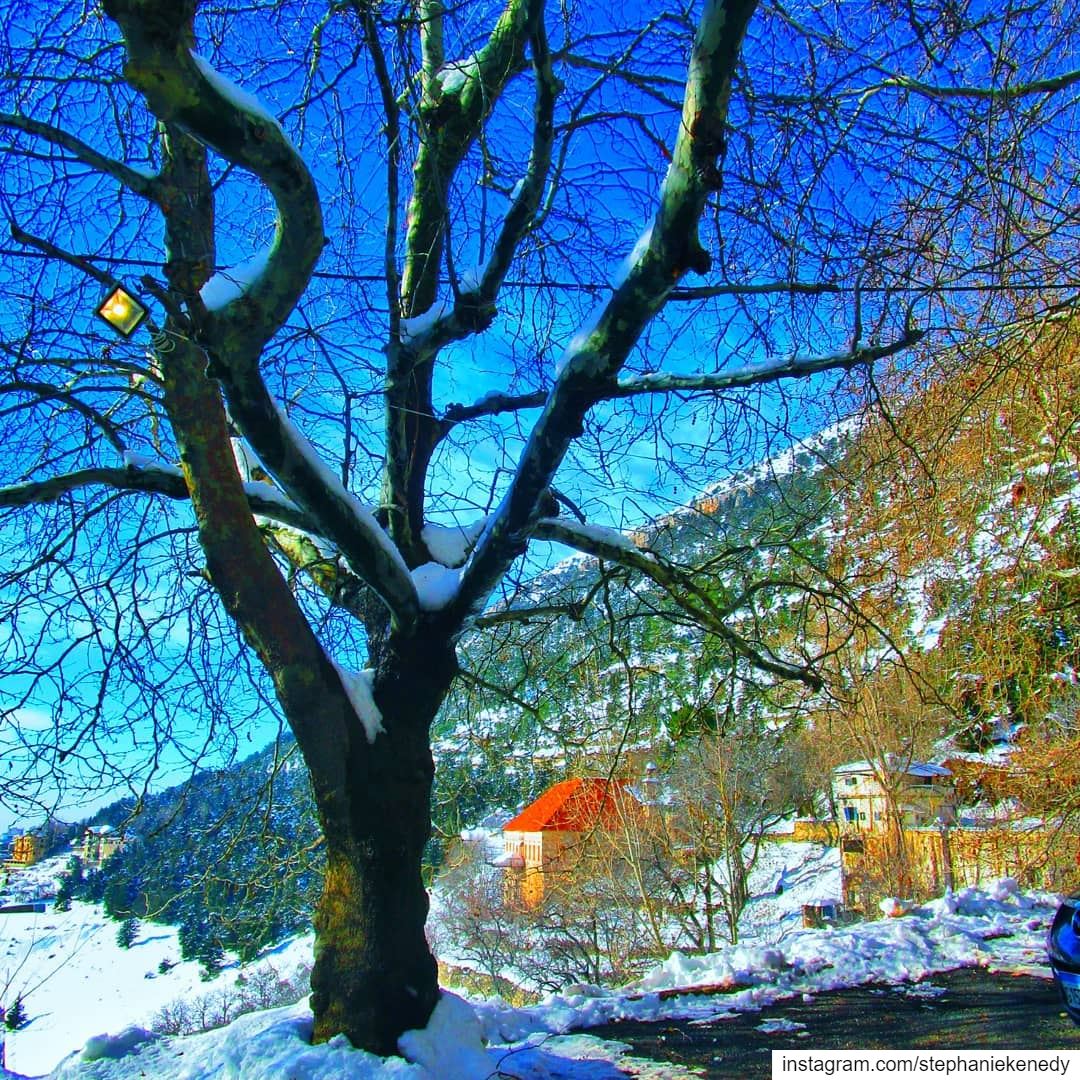 Winter Wonderland in the most beautiful village in north lebanon-Ehden ❤...