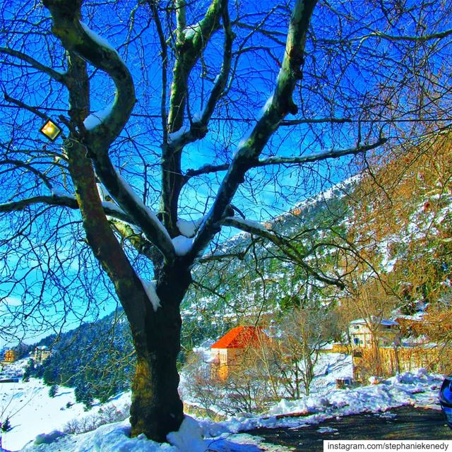 Winter Wonderland in the most beautiful village in north lebanon-Ehden ❤...