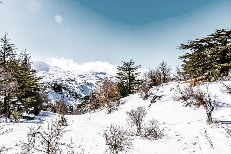 Winter wonderland  travelbloggers  discoverearth  livelovebeirut ... (Arz Tannoûrîne)