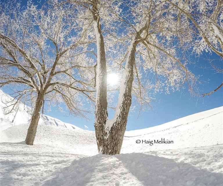 Winter Wonderland ❄️  Lebanon  whatsuplebanon  instagram  lebanon_hdr ... (Heaven)