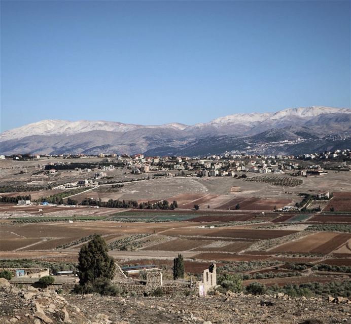  WinterColors 🍂❄️ (Marjayoûn, Al Janub, Lebanon)