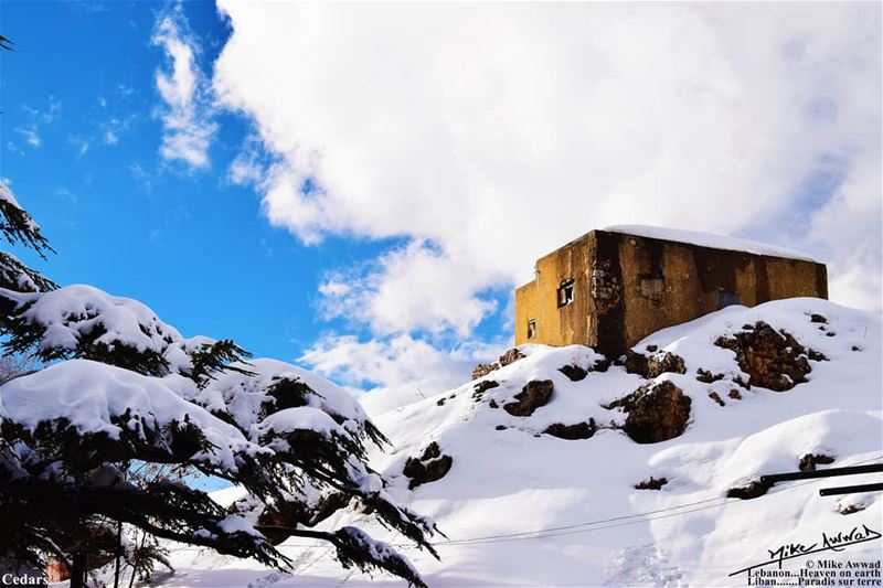 Wish you a warm snowy day  snow  cedars  clouds  blue  souwarfromlebanon  ...