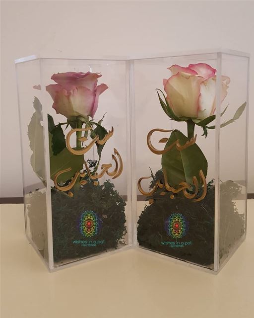  WishesInAPot  BestSeller  Plexi single rose box customized to say it on...