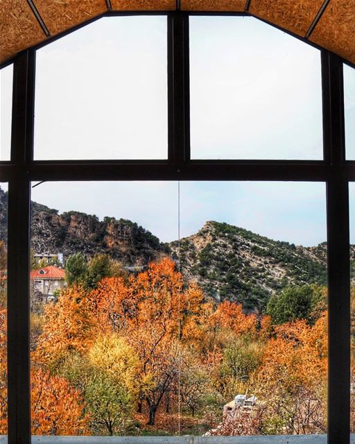 Wishing these colors would last forever 🍁🍃 (Mount Lebanon Governorate)