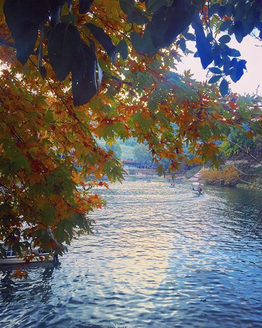 Wishing you a beautiful & blessed Christmas Sunday 😊🍃🍂🎄🍂🍃😊... (Lac de Bnachii)