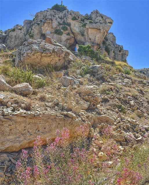 Wishing you a blessed & joyful week 💙🙏🏻🌸 This capture is from Saydet... (Horsh Ehden)