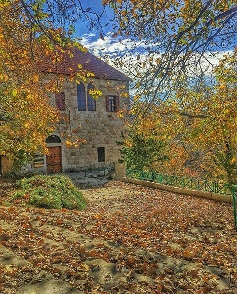 Wishing you a freshly Positive Day (Ehden, Lebanon)