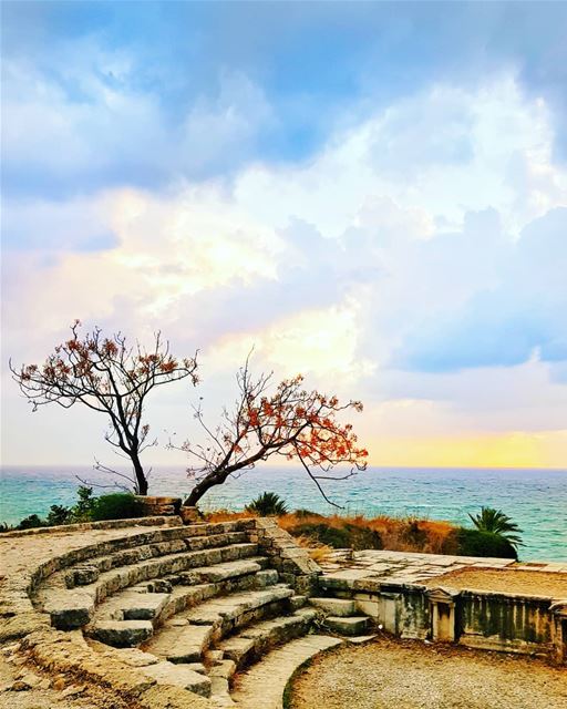 Wishing you all a beautiful Palm Sunday from one of the oldest cities in... (Byblos, Lebanon)