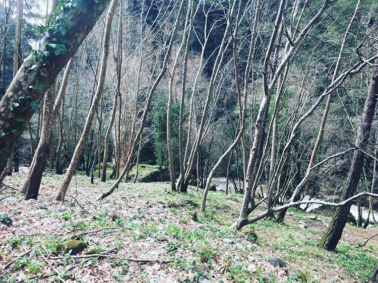 Wishing you all a warm peaceful  night. JabalMoussa  livelovejabalmoussa... (Jabal Moussa)