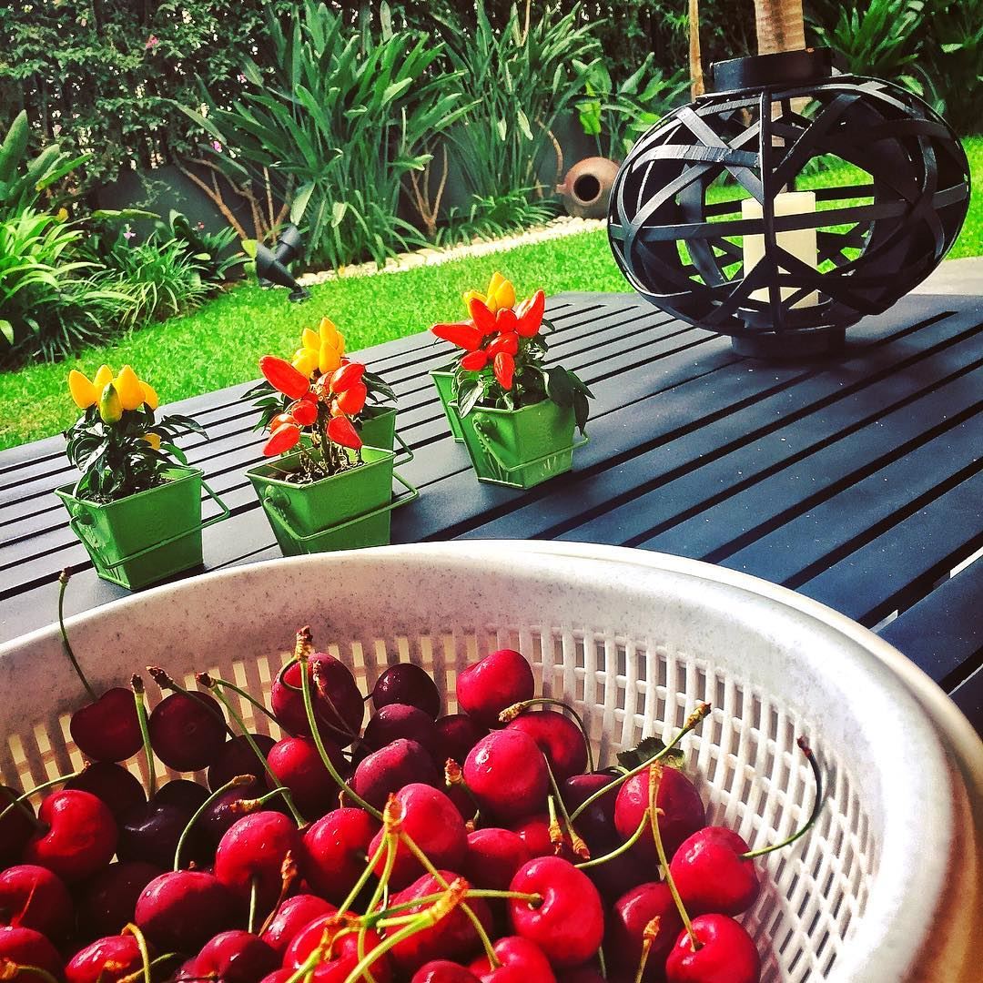 With a cherry on top 🍒♥️  livelovelebanon  summer  cherries  fruits ... (Kfar Hbab, Mont-Liban, Lebanon)