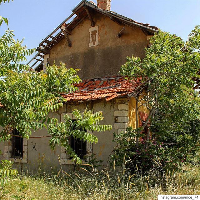 With enough time, nature always win. trainstation  trainstagram ... (Mreyjat)